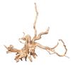 Коряга PR-222483, сакура S 20-30 см