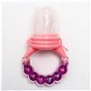 Ниблер для прикорма, с силиконовой сеточкой, ручка-погремушка, цвет фиолетовый (№4313588)