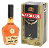 NAPOLEON BONAPARTE 93 мл MEN, РОССИЯ, код 3032900043, штрихкод 467002164042, артикул