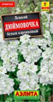 Семена Левкой Дюймовочка Белый 30шт, карликовый (Аэлита), РОССИЯ, код 3130504937, штрихкод 460172917335, артикул