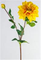 Георгины 1 гол + 1 бут 75 см, Китай, код 4140100272, штрихкод , артикул Х-278