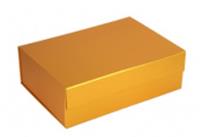 Коробка подарочная, картонная, складная, 20x28x9,2 см, цвет золотой, КИТАЙ, код 40806060662, штрихкод 461018415565, артикул 369-591