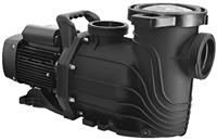 Насос с префильтром Aquaviva LX SFE 300