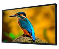 Влагозащищенный телевизор Avis AVS550OT Smart Ultra HD (4K)