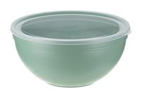 Миска пластиковая 4л с крышкой М1304 фисташковая (10)