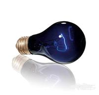 Лампа накаливания Exo Terra Night Heat Lamp A19 50Вт Moonlight