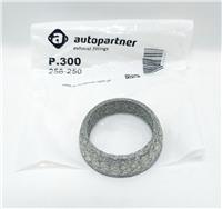 Кольцо глушителя P300