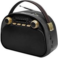 Радиоприемник Ritmix rpr-040 черный 