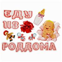 Набор магнитов на авто «Еду из роддома» (№1542565)