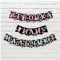 Гирлянда на ленте «Мальчик или девочка», гендер, длина 240 см (№6935568)