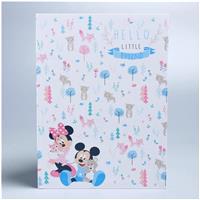 Папка для документов «Baby», Микки Маус (№4406503)