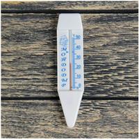 Термометр, градусник для воды 