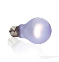 Лампа накаливания Exo Terra DayTime Heat 100Вт