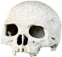 Декорация для террариума NomoyPet Череп (белый), 14х12 см