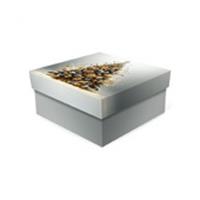 Коробка подарочная Новогодний микс 170х170х70, Россия, код 40806060669, штрихкод 460378305046, артикул Д10103К.373.3