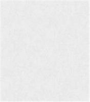 Обои Ботаника фон 1033-10 дуплекс (серый), Россия, код 07102020129, штрихкод 460362950330