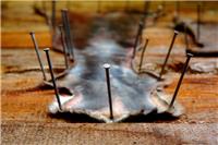 Таксидермия, изготовление ковровой головы медведя с открытой пастью в Новосибирске