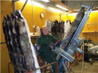 Таксидермия, изготовление чучела соболя, куницы, норки