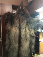 Таксидермия, выделка шкуры медведя в Новосибирске