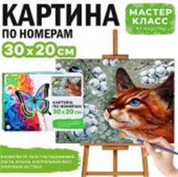 MKR3020-31 Набор для рисования 