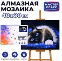 MKA4030-93 Мозаика алмазная 