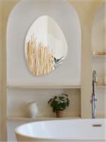 Зеркало Сиена 50х70 см ДАБЛ-Ю, Россия, код 0250001659, штрихкод 462021778063, артикул SEN50X70