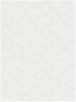 Обои АСПект 70655-14, 1,06х10м (Дюна), Россия, код 0710307110, штрихкод 466012674398, артикул 70655-14