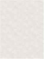 Обои АСПект 70655-21, 1,06х10м (Дюна), Россия, код 0710301999, штрихкод 466012674399, артикул 70655-21