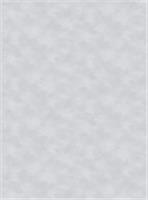 Обои АСПект 70655-42, 1,06х10м (Дюна), Россия, код 0710307111, штрихкод 466012674402, артикул 70655-42