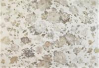 Обои Elysium Е107700 1,06х10м (Гретта), Россия, код 07101160075, штрихкод 469039335896