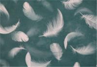 Обои Elysium Е804410 1,06х10м (Флай), Россия, код 07101160058, штрихкод 469039335753