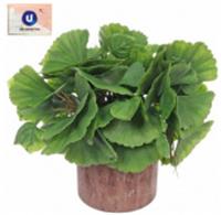 Цветок искусственный в горшке 