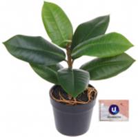 Цветок искусственный в горшке 