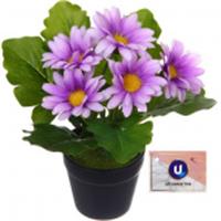 Цветочная композиция 