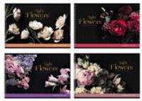 Альбом для рисования 40л., А4, на гребне BG 