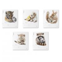 63237 ТЕТРАДЬ 12 Л, ЛИН. ERICHKRAUSE LITTLE CUTIES, MIX-PACK /10/280/, Россия, код 56028050173, штрихкод 460192163237, артикул 63237