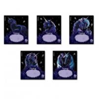 63272 ТЕТРАДЬ 18 Л, КЛ. ERICHKRAUSE BLACK UNICORN, ВЫБ. УФ-ЛАК, MIX-PACK /10/200/, Россия, код 56028060319, штрихкод 460192163272, артикул 63272