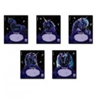 63273 ТЕТРАДЬ 18 Л, ЛИН. ERICHKRAUSE BLACK UNICORN, ВЫБ. УФ-ЛАК, MIX-PACK /10/200/, Россия, код 56028070203, штрихкод 460192163273, артикул 63273