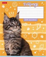 24Т5В2 Тетрадь 24л А5ф ЛИНИЯ 60-65г/кв.м на ск 5 диз.в блоке скругл.углы -Ушки на макушке-, Россия, код 56028090130, штрихкод 460678249209, артикул