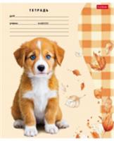 24Т5В2 Тетрадь 24л А5ф ЛИНИЯ 60-65г/кв.м на ск 5 диз.в блоке скругл.углы -Милые носики-, Россия, код 56028090131, штрихкод 460678259319, артикул