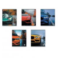 63377 ТЕТРАДЬ 48 Л, А5+, КЛ. ERICHKRAUSE RAIN DRIVE, ПЛАСТ. ОБЛ. НА СКОБЕ, MIX-PACK /5/100/, Россия, код 56028101241, штрихкод 460192163377, артикул 63377