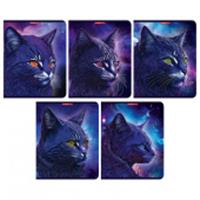 Тетрадь 48л скр А5 кл 14690/5-EAC мат лам Синий Кот (гофр60_(6*10)), Россия, код 56028101213, штрихкод 460300872808, артикул 14690/5