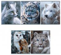 Тетрадь 48л., А5, клетка BG 