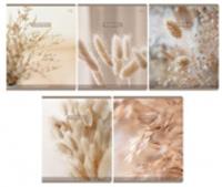 Тетрадь 48л., А5, клетка BG 