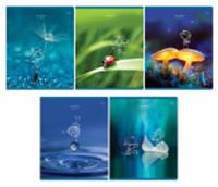 Тетрадь 48л., А5, клетка BG 