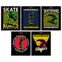 Тетрадь 96л скр А5 кл 14151/5-EAC твин УФ лак конгрев Скейтеры (гофр30_(3*10)), Россия, код 56028170369, штрихкод 460300872248, артикул 14151/5