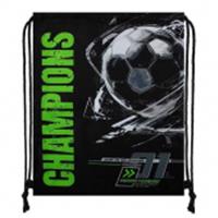 Сумка д/обуви КОКОС 36*44см 