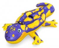 Игрушка Bestway надувная Splashin' Salamander 191x119см, запл д/ремонта арт.41502 Код272029, КИТАЙ, код 6101200040, штрихкод 694160734870, артикул 272029