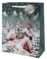 Пакет подарочный Рождество в деревне Размер: 26х12х32см Материал: бумага C1544M, Россия, код 40806010215, штрихкод 695521077181, артикул C1544M