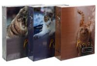 Альбом PLATINUM PP-46200S (23617)Кошки-3,200ф.10х15, РОССИЯ, код 79002070038, штрихкод 461009423675, артикул 23617